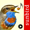Cantos de Aves Id - Mullen & Pohland GbR