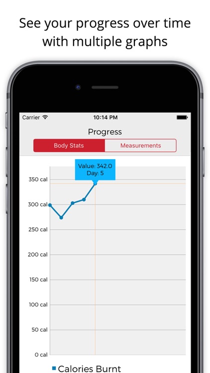 25 Minute Workout Tracker screenshot-4