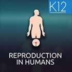 Top 29 Education Apps Like Reproduction in Humans - Best Alternatives