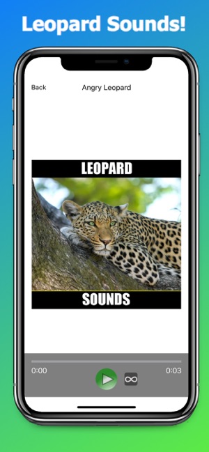 Leopard Sounds(圖1)-速報App