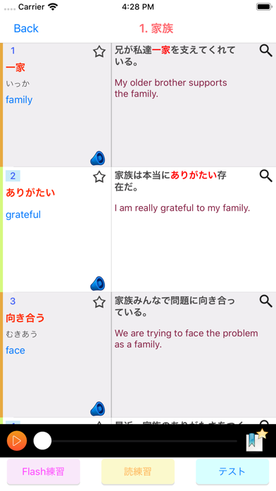 JLPT N5 ~ N1 Learn Japanese screenshot 4