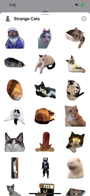 Strange Cats Sticker Pack(圖1)-速報App