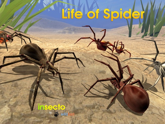 Скачать игру Life Of Spider