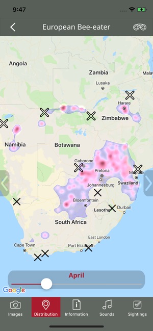 BirdPro Kruger National Park(圖5)-速報App