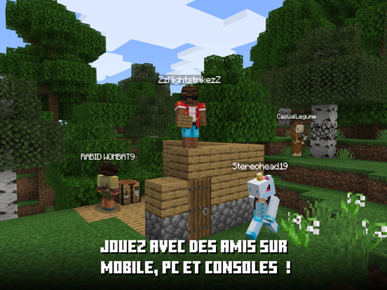 Minecraft Minecraft