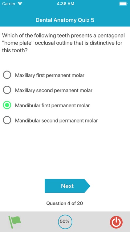 Dental Anatomy Quizzes