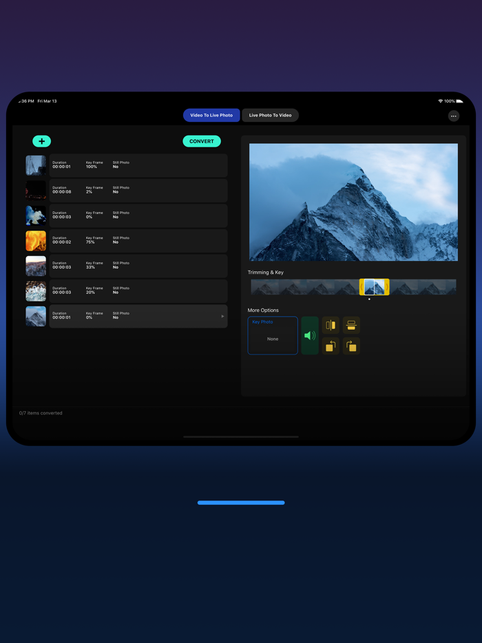 Live Photo Converter