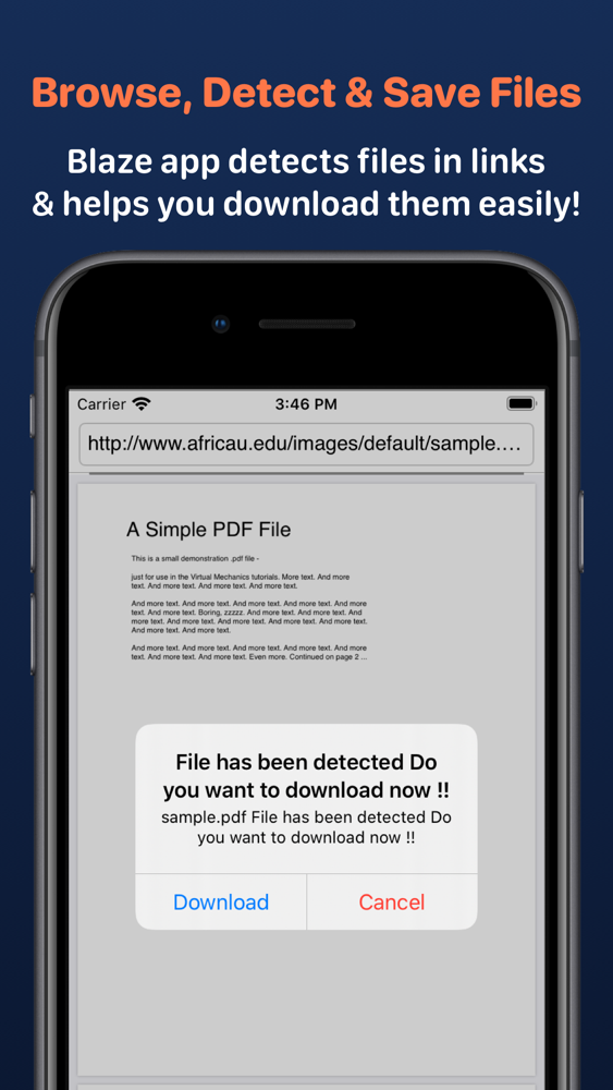 Blaze Browser & File Manager App for iPhone Free Download Blaze