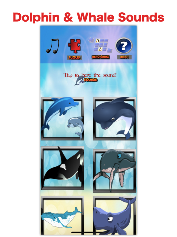 Морской мир: дети дельфин игры для iPad