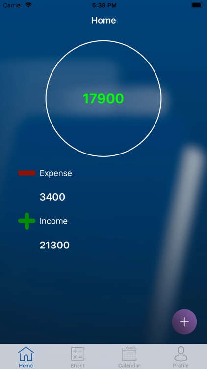 Pocket Expense Manager screenshot-3