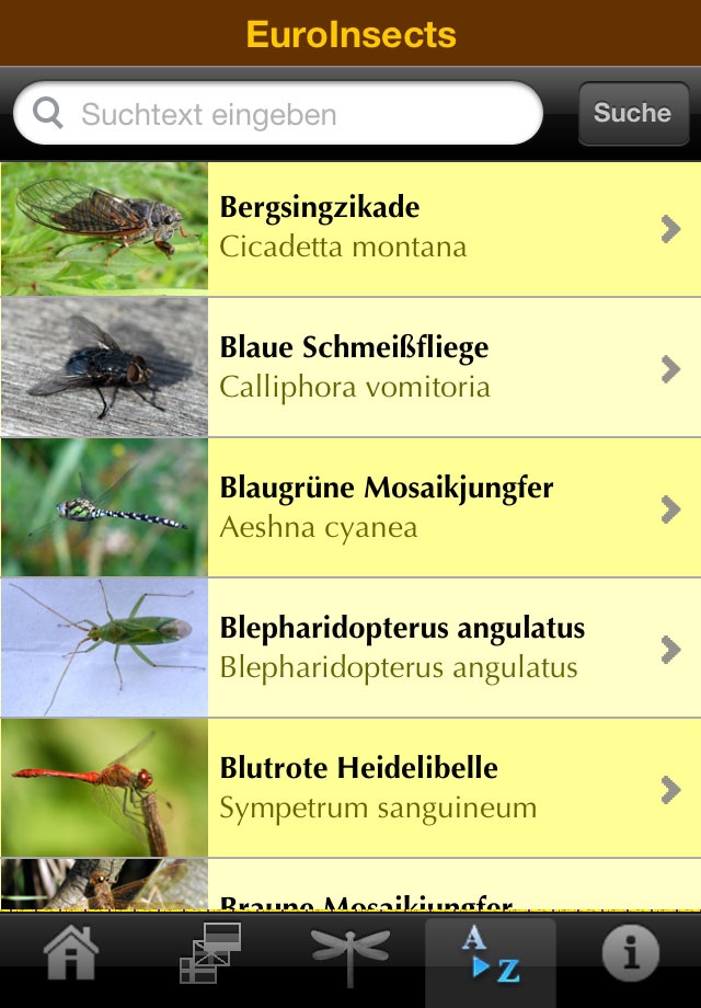 EuroInsects screenshot 3