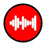 Voice to Video Recorder