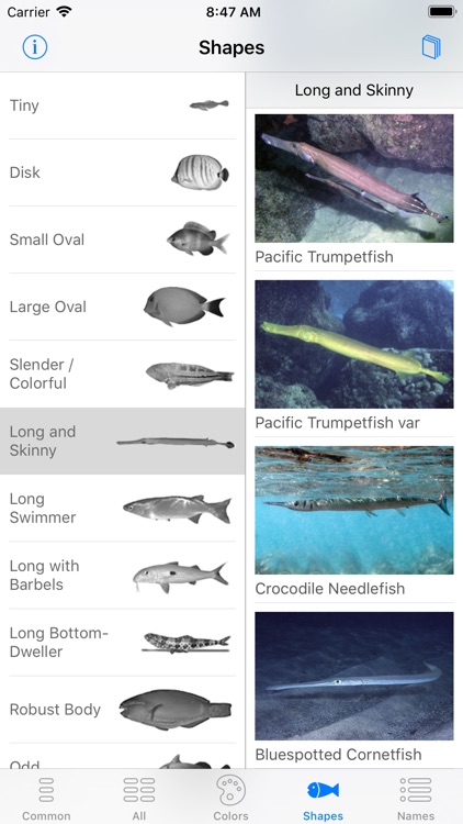 Scuba Fish Hawaii screenshot-5