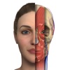 Interactive Anatomy - RO