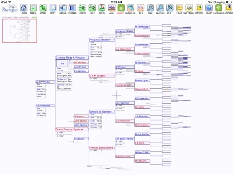 Branches Pro - náhled