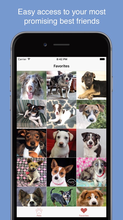Pet Search - Adopt a Pet screenshot-4