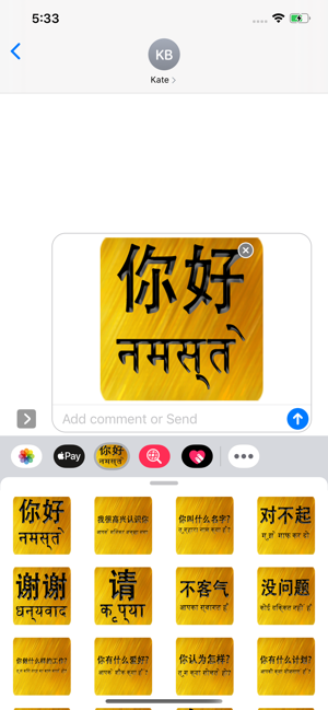 Chinese Hindi