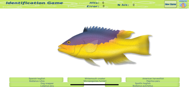 Game Fish Identification(圖2)-速報App