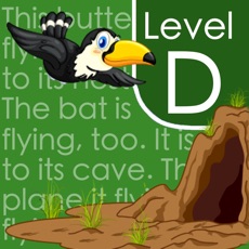 Activities of Reading Comprehension: Level D