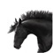 Horse Illustrated has everything you need to make the most of life with horses