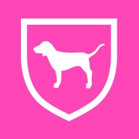 PINK Nation pour PC