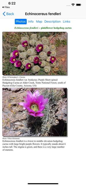 New Mexico Wildflowers(圖3)-速報App