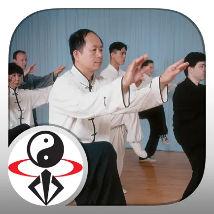 TaiChi 108 Yang Classical Form Читы