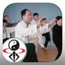 Get TaiChi 108 Yang Classical Form for iOS, iPhone, iPad Aso Report