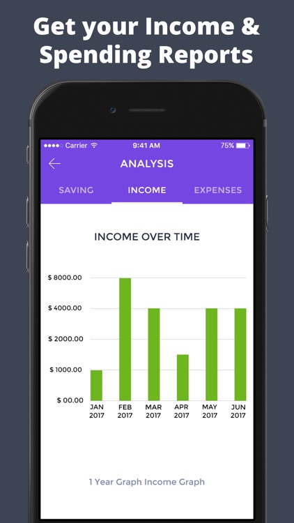Budget · screenshot-3