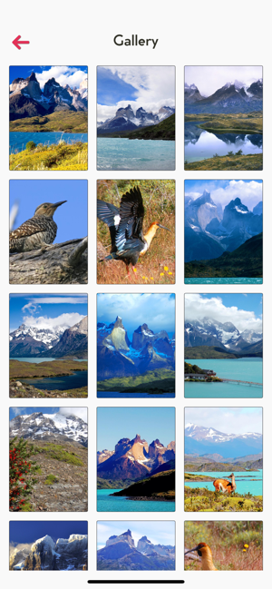 Torres del Paine Tourism(圖4)-速報App