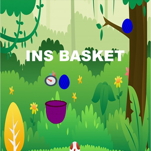 INSBASKET