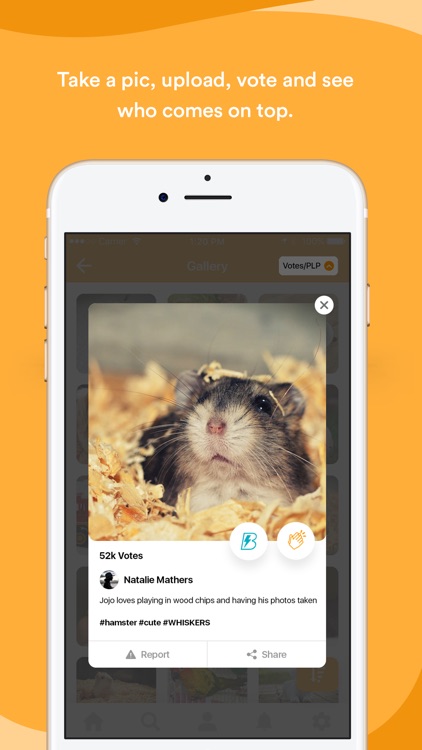 Photoloot screenshot-4