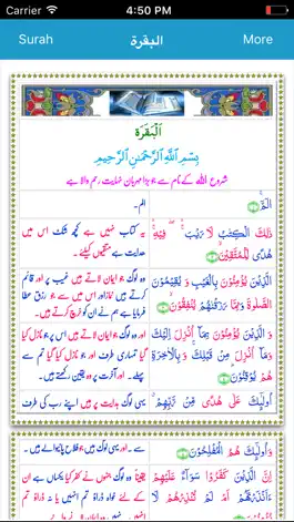 Game screenshot Quran Pak Urdu Translation apk