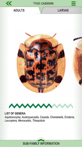 Game screenshot Leaf Beetle ID Guide apk