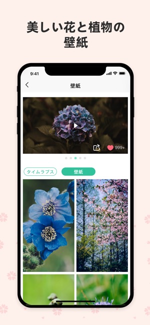 Picturethis 撮ったら 判る 1秒植物図鑑 をapp Storeで