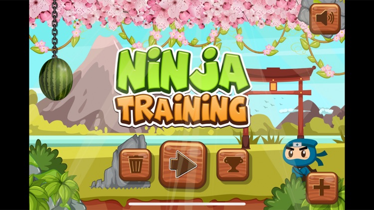 Ninja-Training