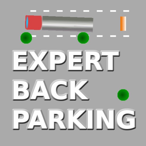 EXPERT BACK PARKING