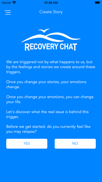 Recovery Chat screenshot 3