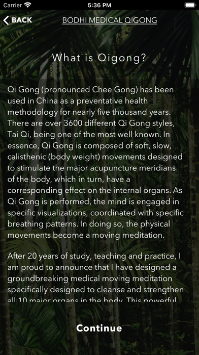 Bodhi Medical Qigong screenshot 4