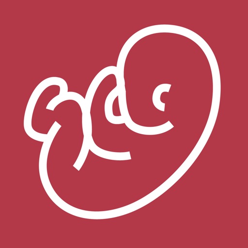 I Fetal Doppler Icon