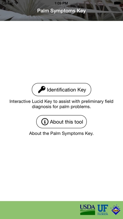 Palm Symptoms Key