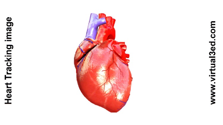 AR Human heart – A glimpse
