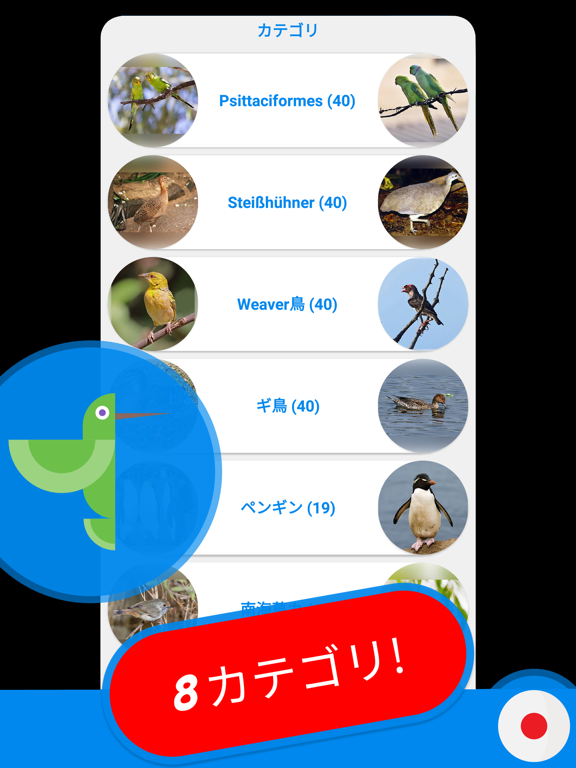 鳥 & 鳥 クイズ 日本ののおすすめ画像2