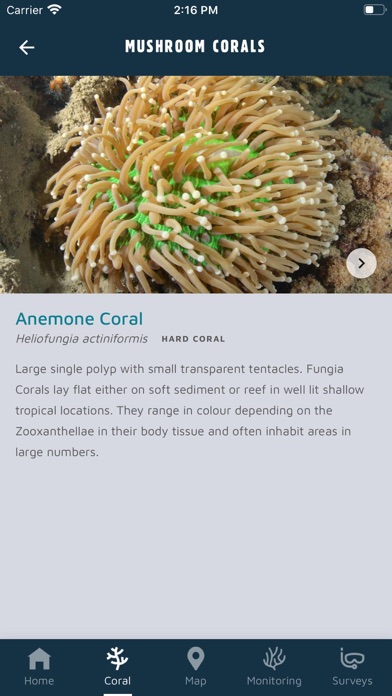 Coral Whitsundays screenshot 3