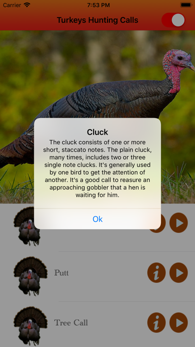 Turkey Hunting Calls - screenshot 2