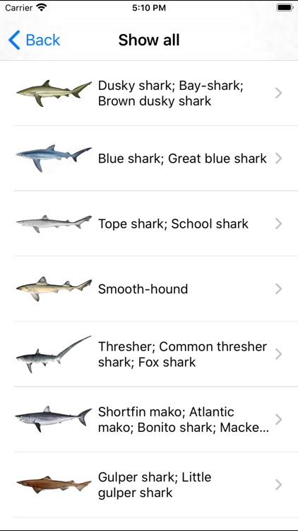 MadeiraFish