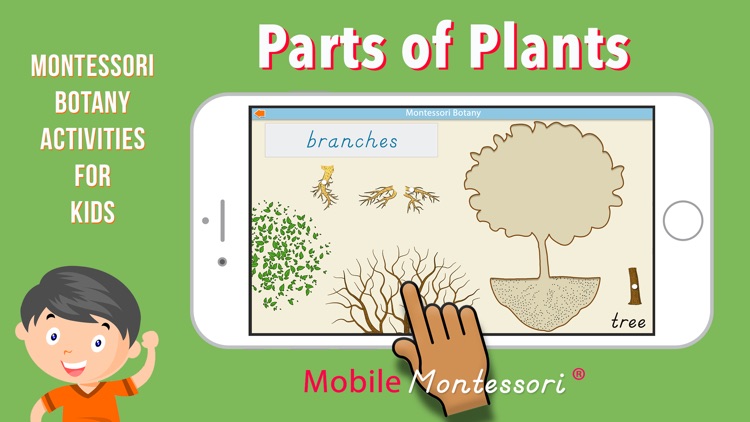 Learn Botany - Parts of Plants screenshot-0