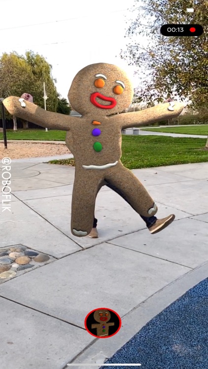 RoboFlik screenshot-3