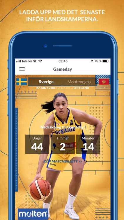 Basketlandslagen Gameday