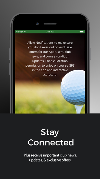 Stonebridge Golf Club - GA screenshot 3
